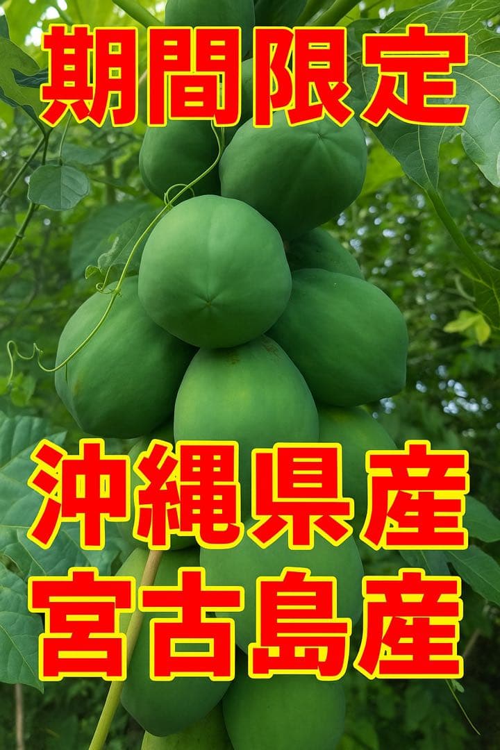 4月6月予約ページ！沖縄県宮古島産青パパイヤ　　２〜9キロキロ予約のみコメント欄
