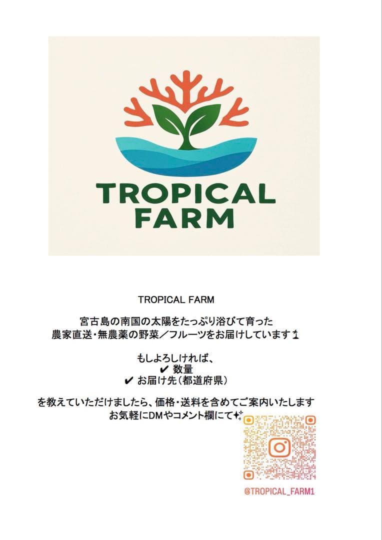 4月6月予約ページ！沖縄県宮古島産青パパイヤ　　２〜9キロキロ予約のみコメント欄