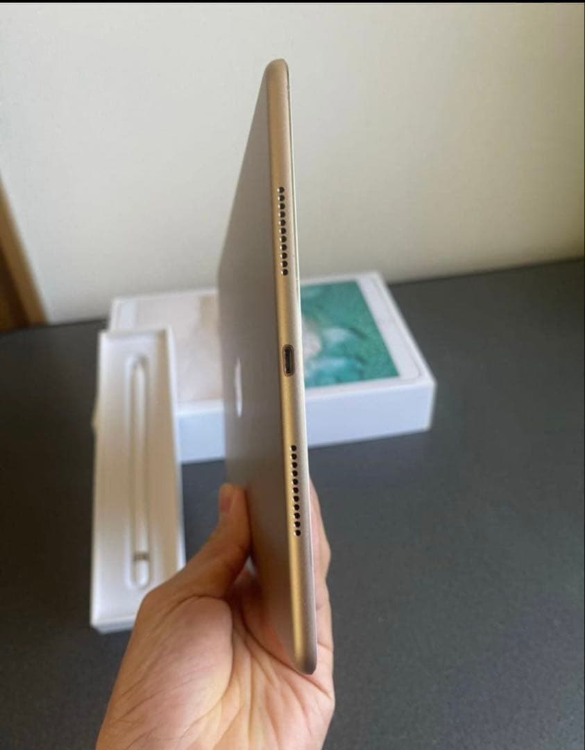 iPad本体 iPadPRO 512Gb+ Apple penci
