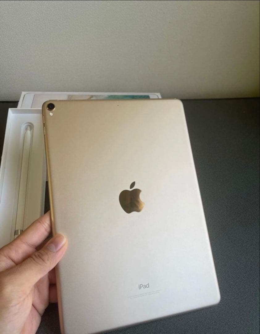 iPad本体 iPadPRO 512Gb+ Apple penci