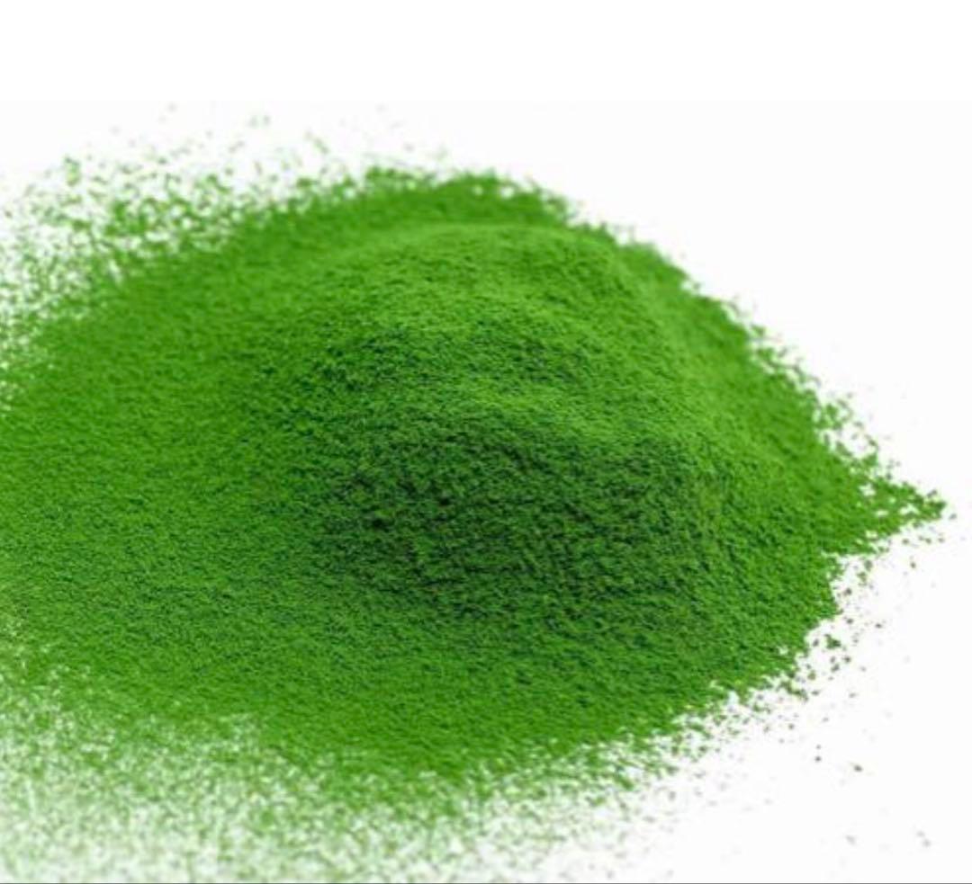 丸久小山園　抹茶　千木の白100g×4袋セット