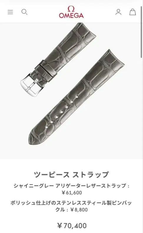 69rock OMEGA 純正19mmツーピースストラップ ピンバックル