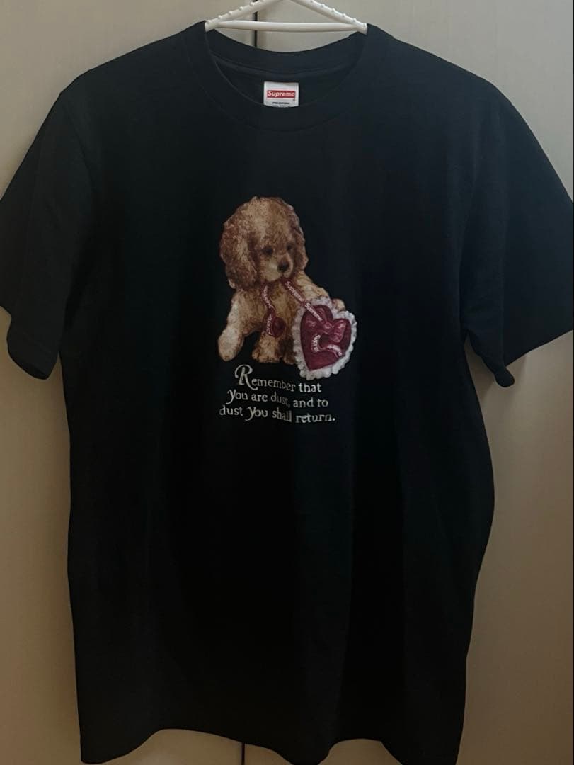 Supreme Dust Tee ブラック　S Tシャツ