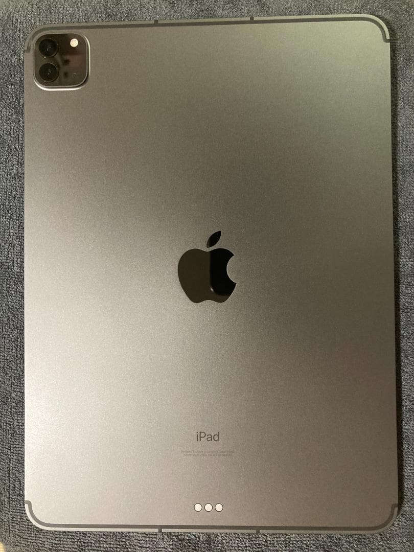 iPad Pro 11 第3世代 256GB Cellular SIMフリー