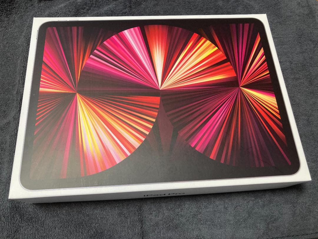 iPad Pro 11 第3世代 256GB Cellular SIMフリー