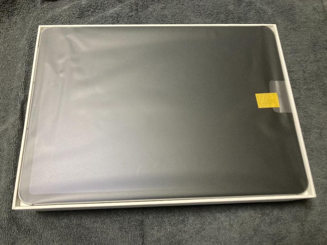 iPad Pro 11 第3世代 256GB Cellular SIMフリー