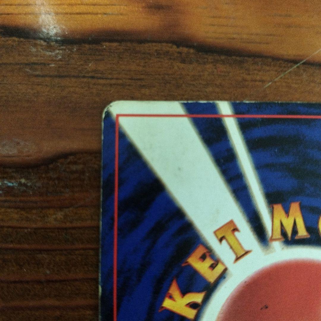 カメックス　あまごい