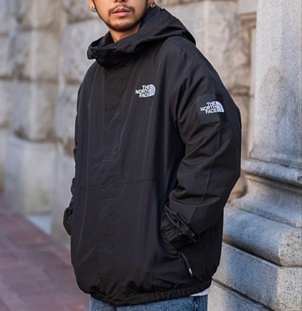 韓国限定✨ノースフェイス VILAN EX JACKET 正規品！XL