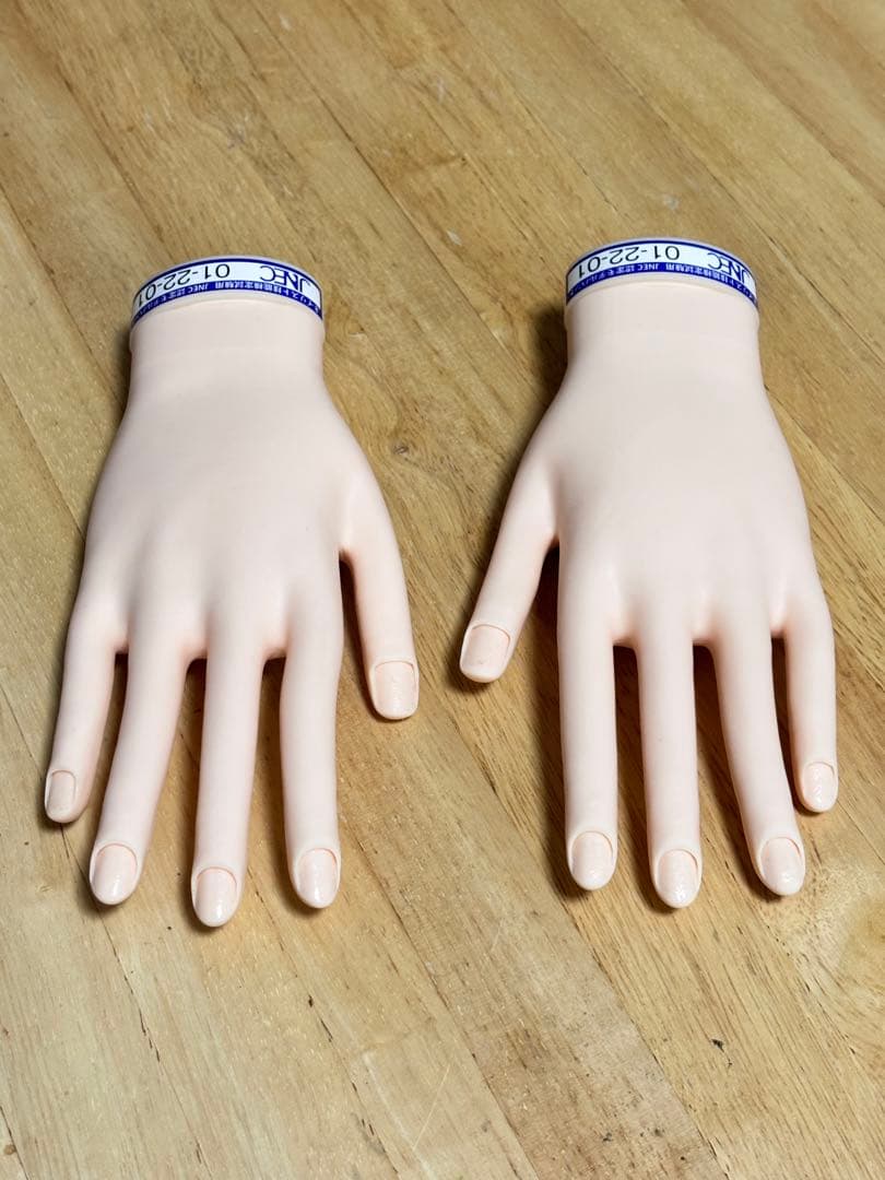 JNEC認定モデルハンド　両手