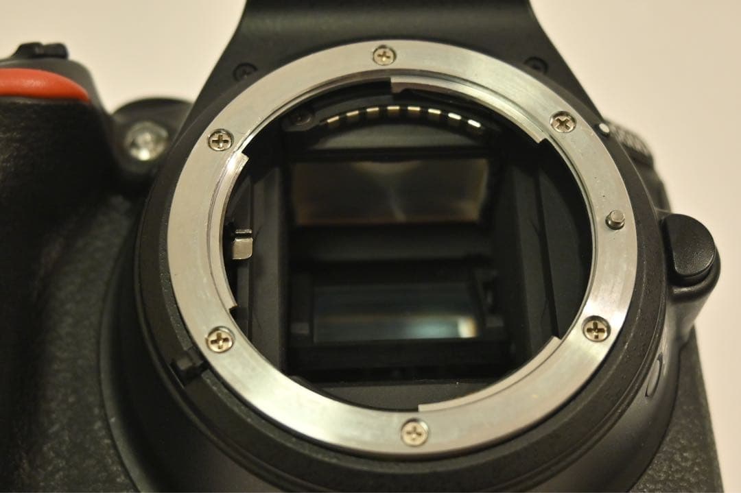 【ズーさん】【美品】　Nikon D5500 ダブルズームキット