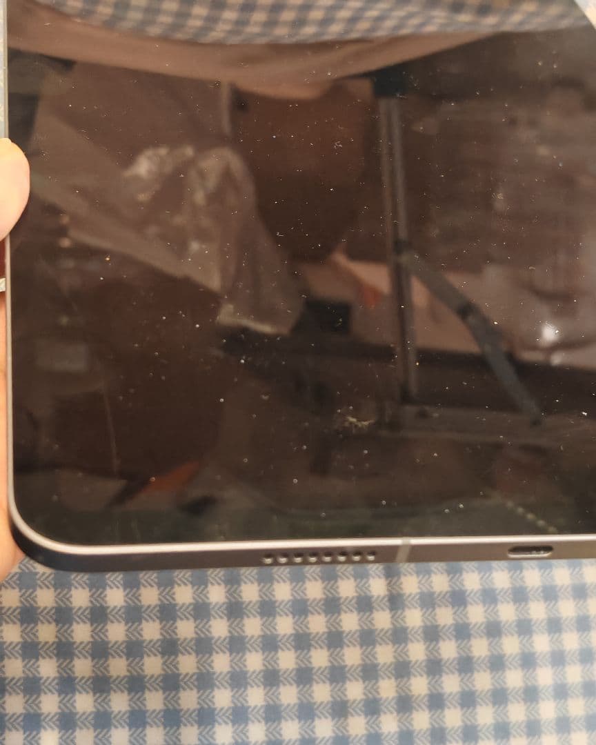 iPad Pro (11インチ) 第4世代 256GB cellular