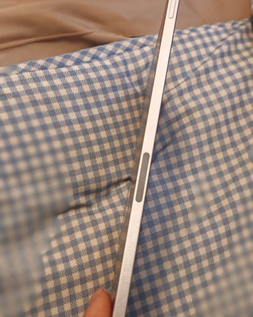 iPad Pro (11インチ) 第4世代 256GB cellular