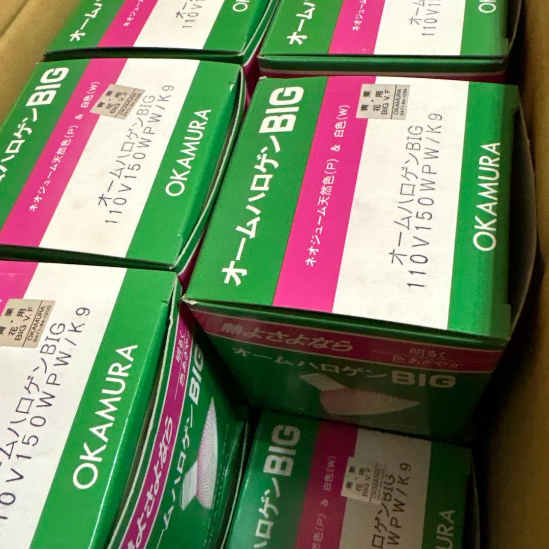 よし オームハロゲンBIG 150W 110V