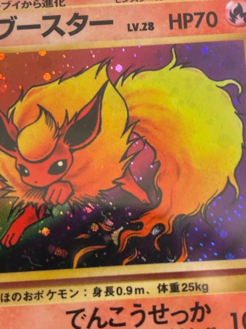 PSA10 旧裏 ブースター 第2弾拡張パック ポケモンジャングル