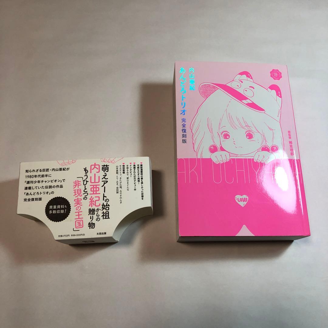 内山亜紀　あんどろトリオ 完全復刻版【送料込】美品