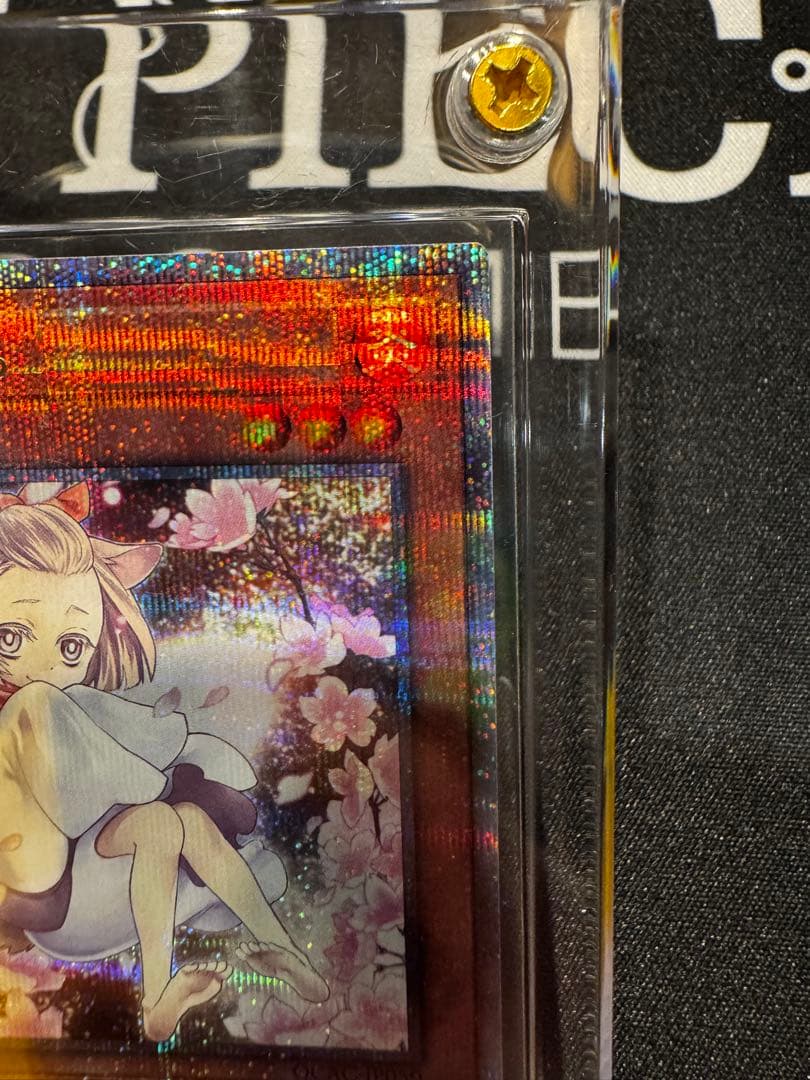 灰流うらら 絵違い 25thクオシク スクリューダウン付き