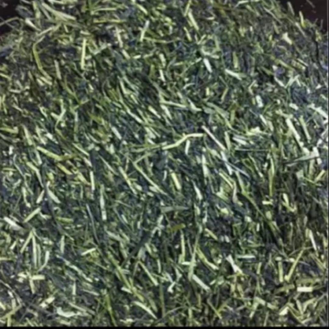 八女茶，緑茶(特上白折)12袋 楽一番公式アカウントL6