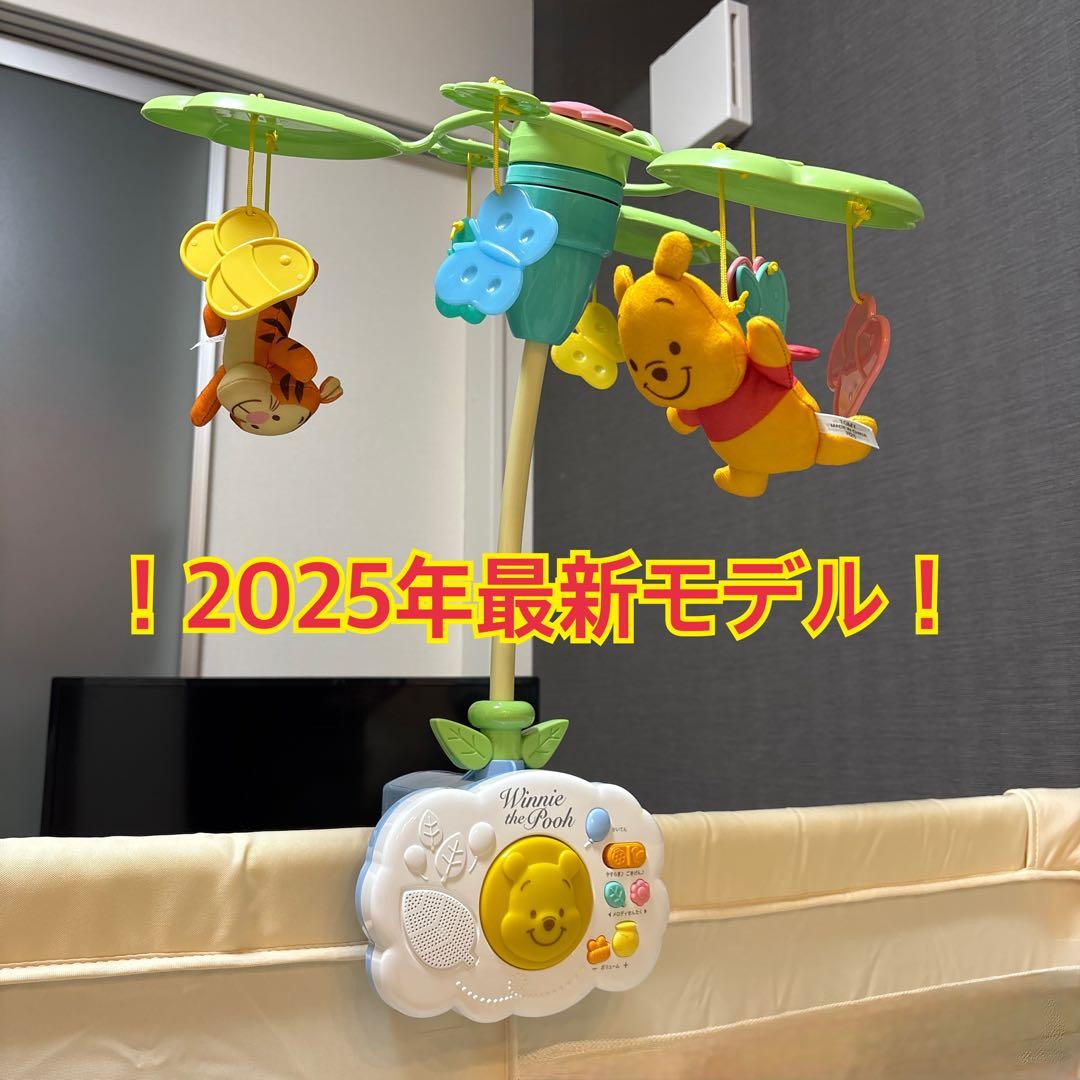 【箱なし極美品】プーメリー 2025