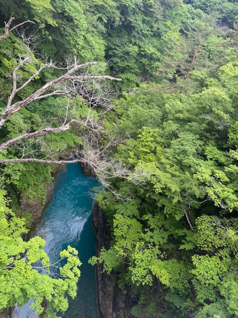 スマホアクセサリー MJ