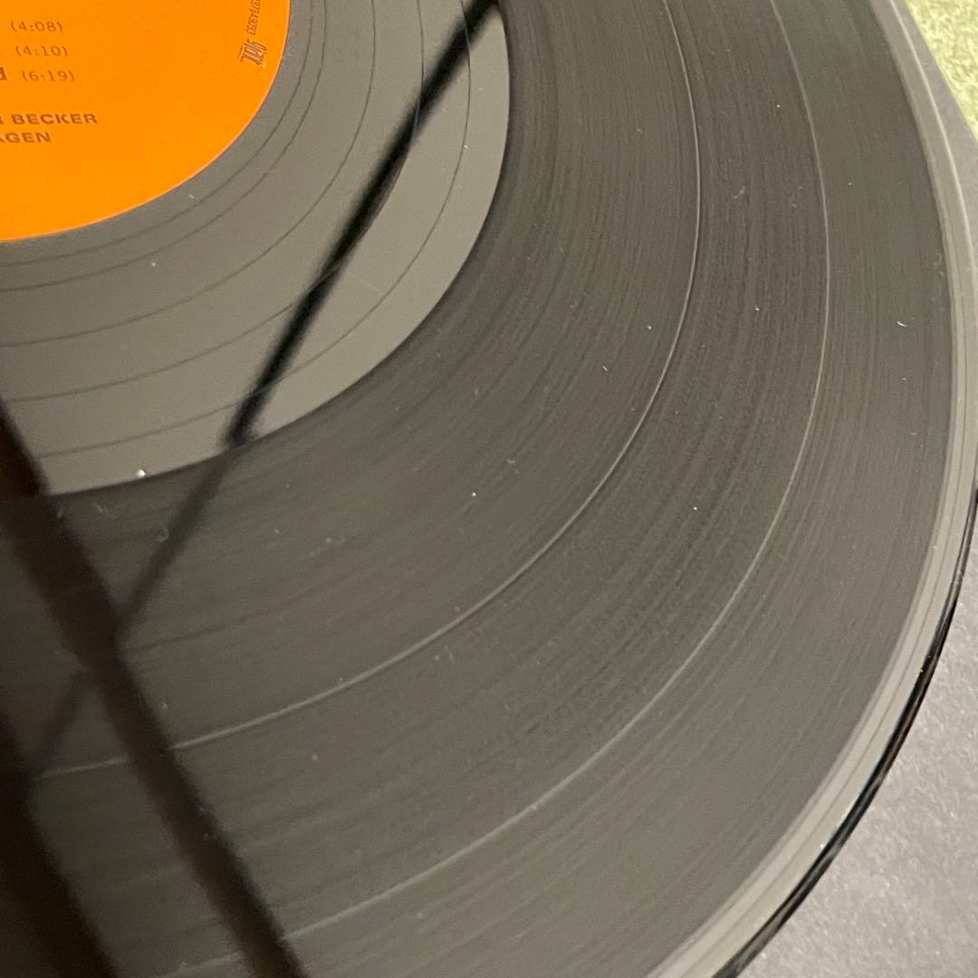 STEELY DAN 180g 2LP 高音質 重量盤 優秀録音 レコード