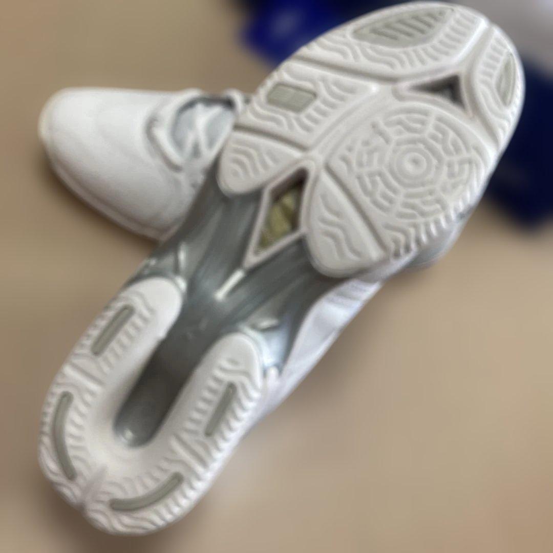 Mizuno ウエーブダイバース　LG3ホワイト 27.0cm