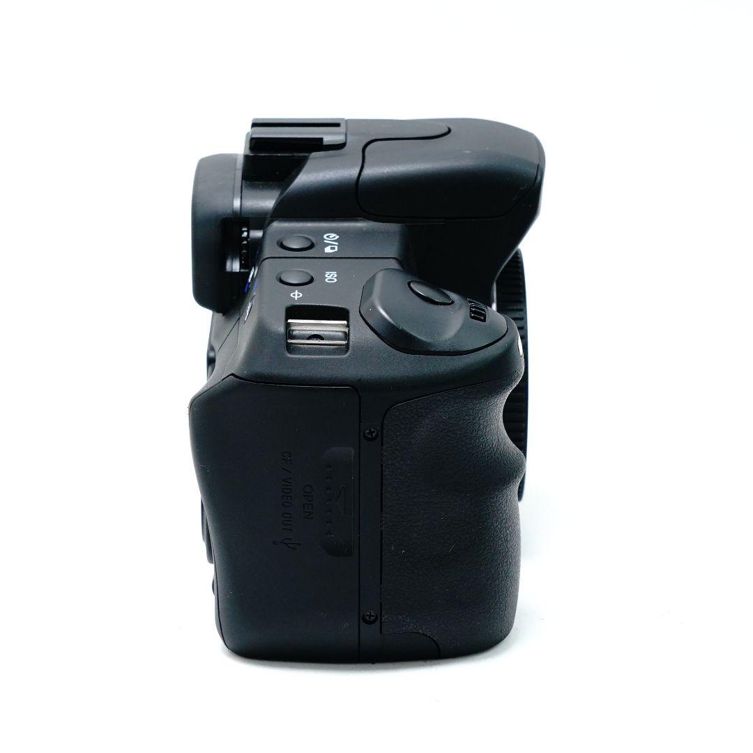 ✨美品✨ SONY α200 ダブルズームキット