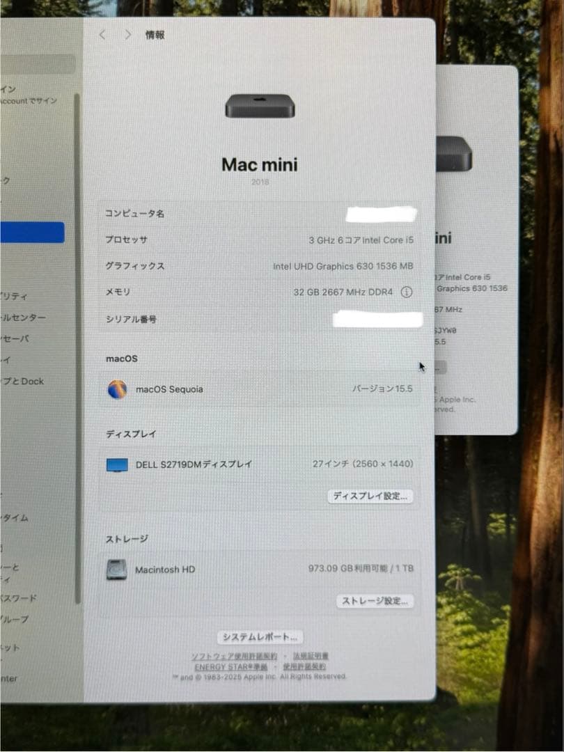 Macデスクトップ Mac mini 2018 1TB 32GB