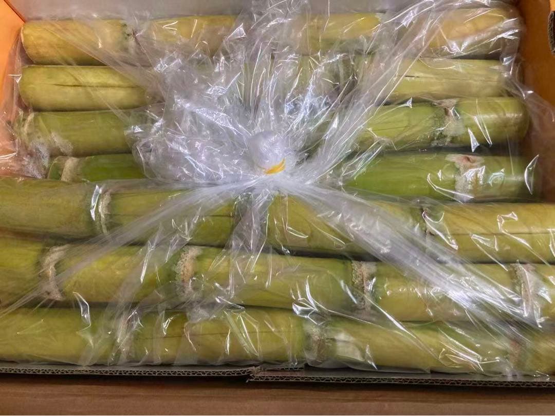 663.新鮮食用青皮サトウキビ約5kg+マンゴスチン　山竹 美の宝石4パック入り