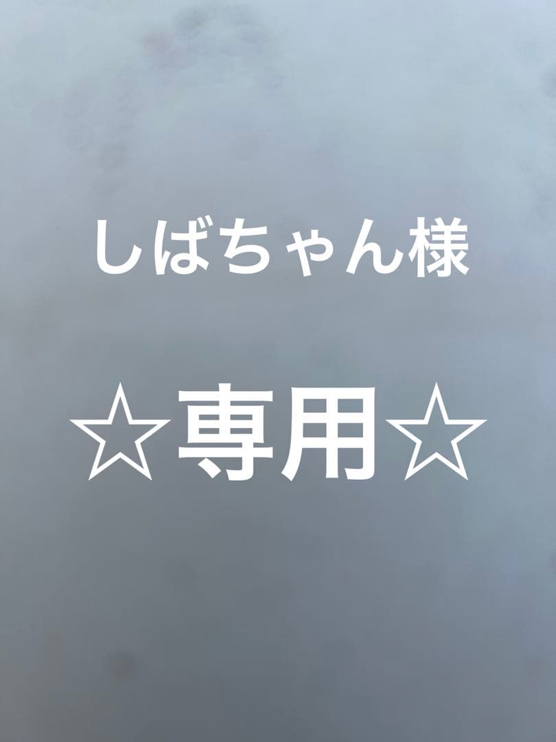 アダプトラテ　新品未開封　＆アダプトホイップ新品未開封☆