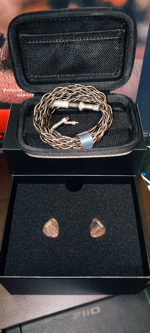 【ほぼ未使用】DUNU DaVinci