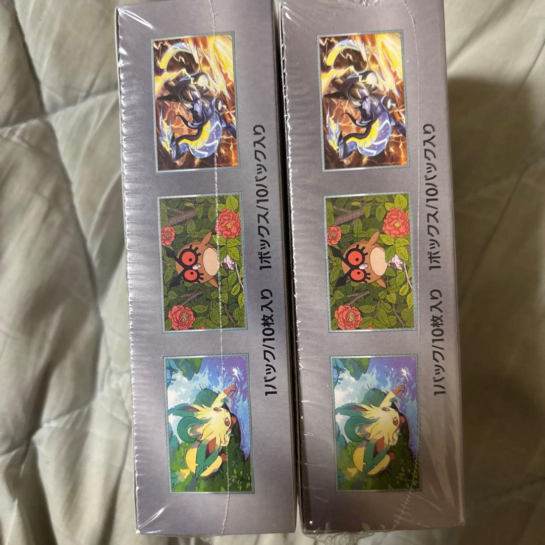 テラスタルフェス　シュリンク付き　2box