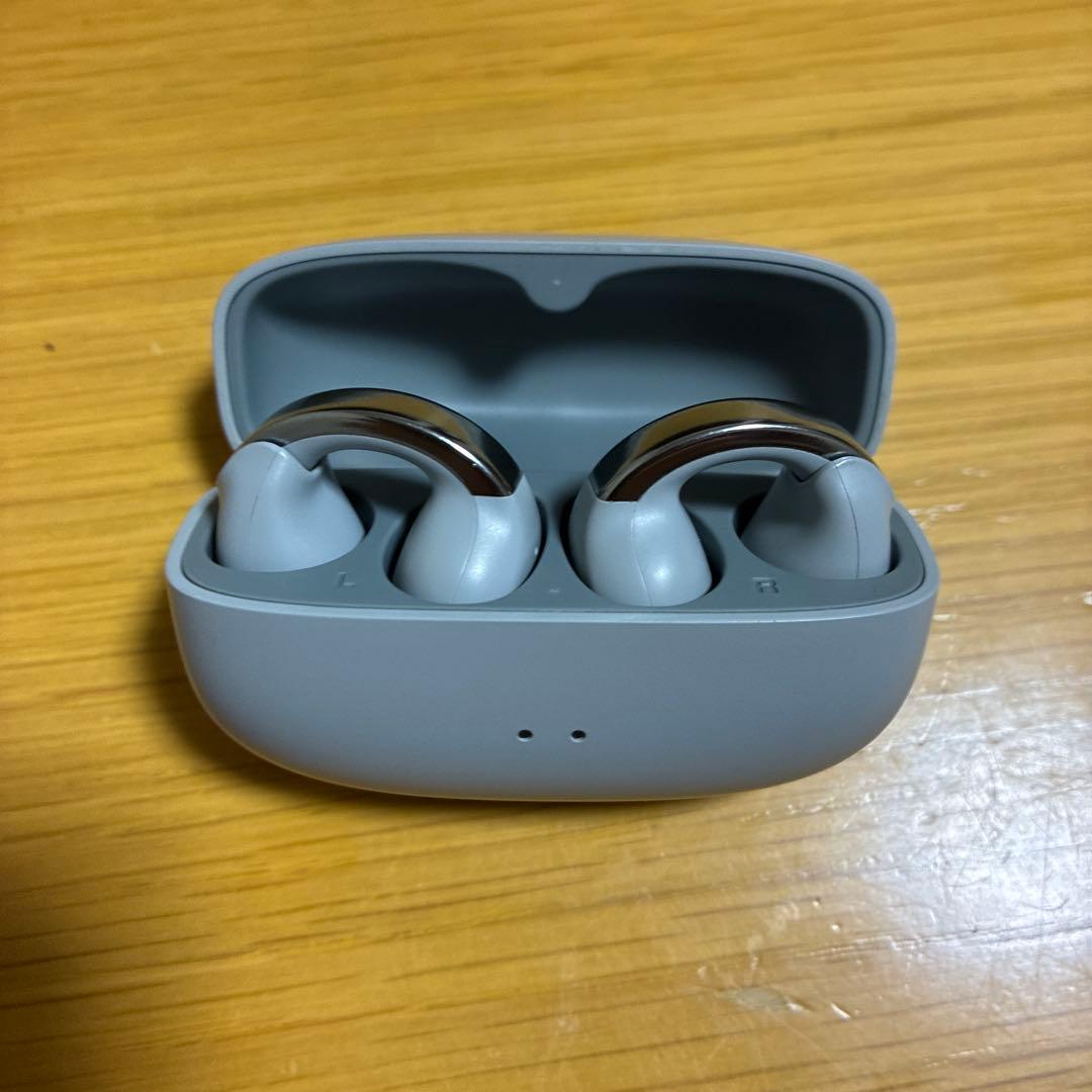 イヤホン Victor ha-np1t