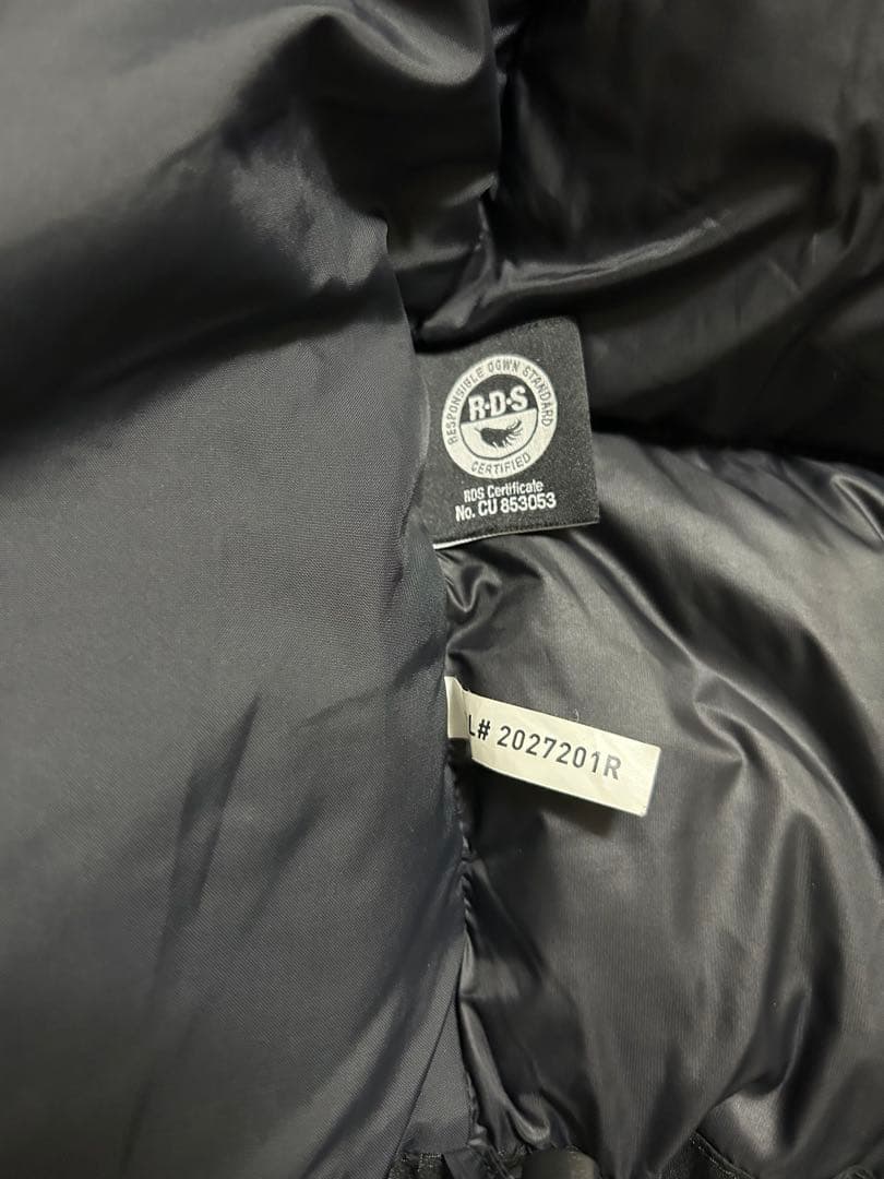 希少ノースフェイス　フリームーブダウンジャケット ブラック　Lサイズ