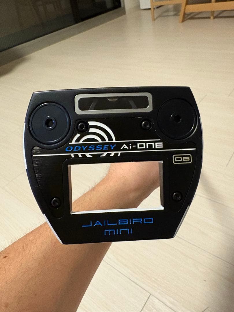 AI-ONE JAILBIRD MINI DB 33インチ