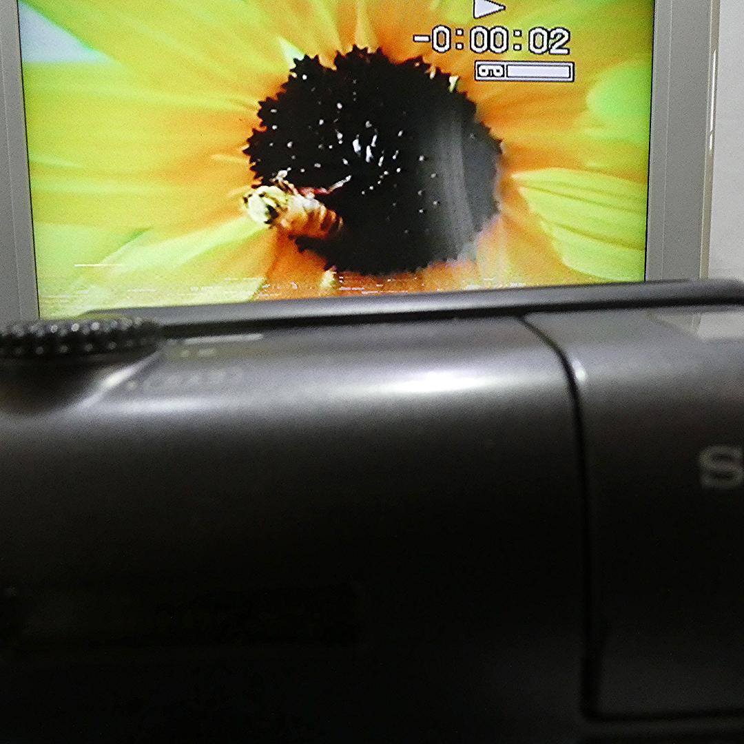 動作良好 ソニーVideoHi8 CCD-TR11 8ミリビデオ　DVD化に最適