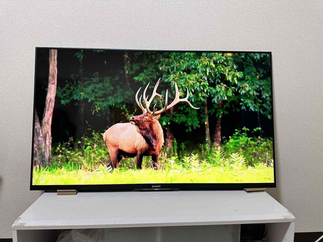 美品！SONY 液晶テレビ KDL 50W 800B 壁掛け用、スタンド無し