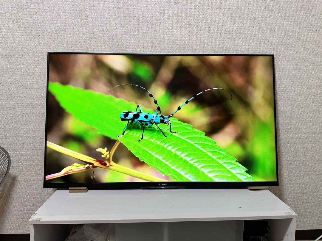 美品！SONY 液晶テレビ KDL 50W 800B 壁掛け用、スタンド無し
