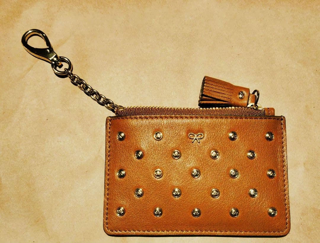 値下げ中！【未使用】アニヤハインドマーチ　ブラウン スタッズ　ケース