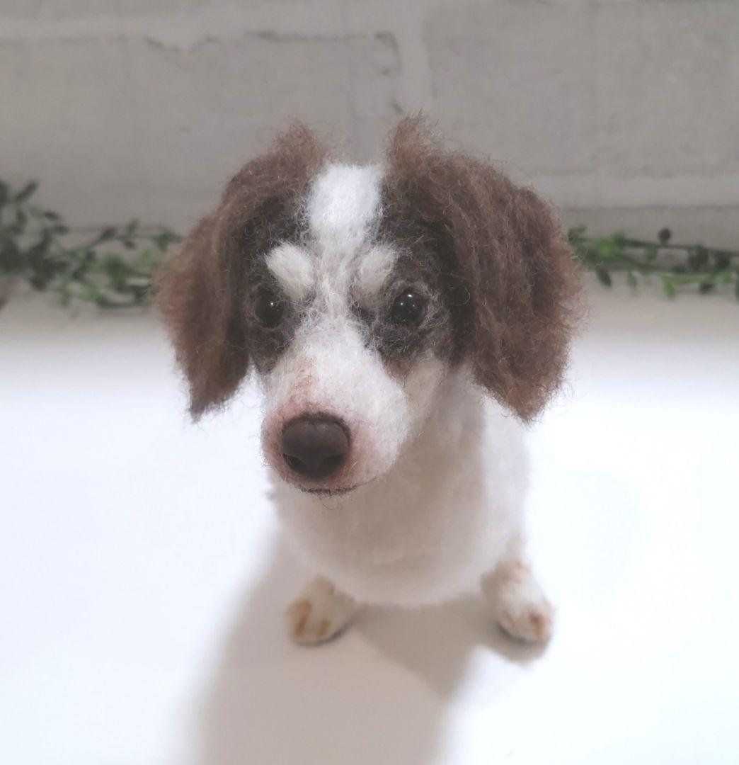 SASHA♡うちの子オーダー♡羊毛フェルト♪ハンドメイド☆