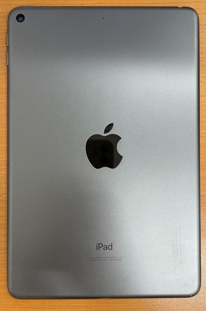 ひ*ん様 動作確認済み iPad mini 第5世代 64GB ID:K5730