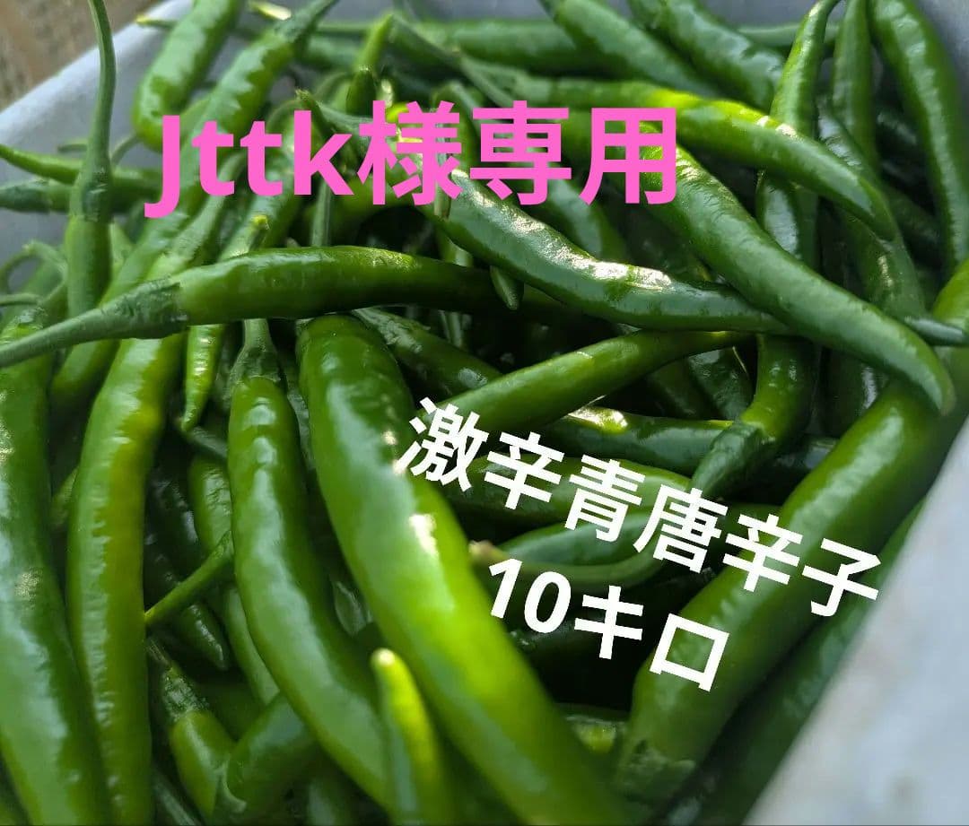 Jttk　激辛青唐辛子10キロ