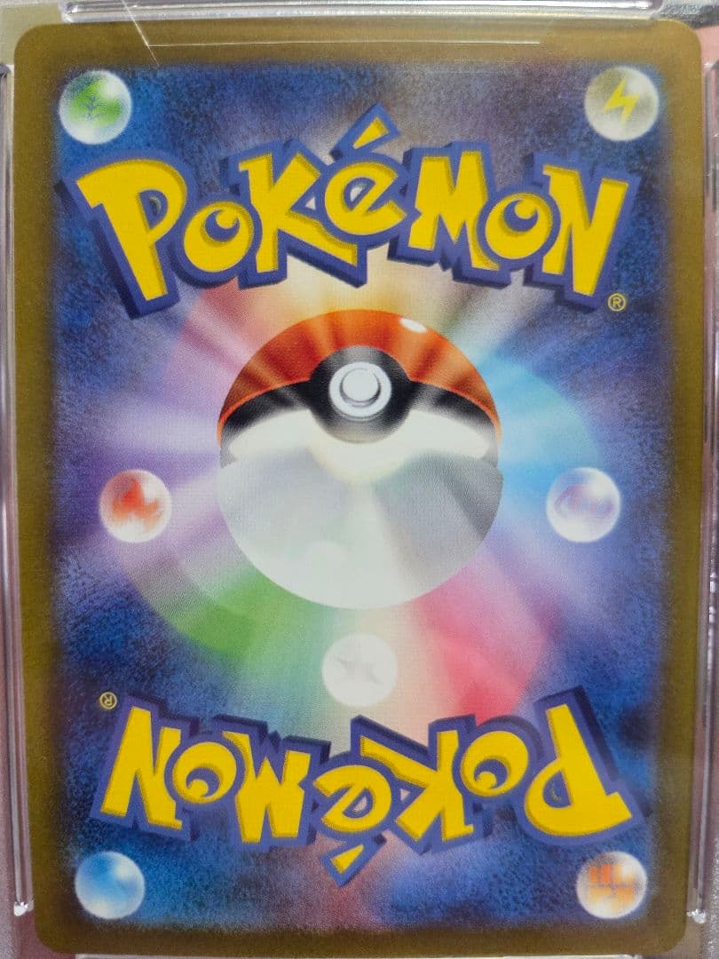 エリカの招待 SR SV2a 196/165