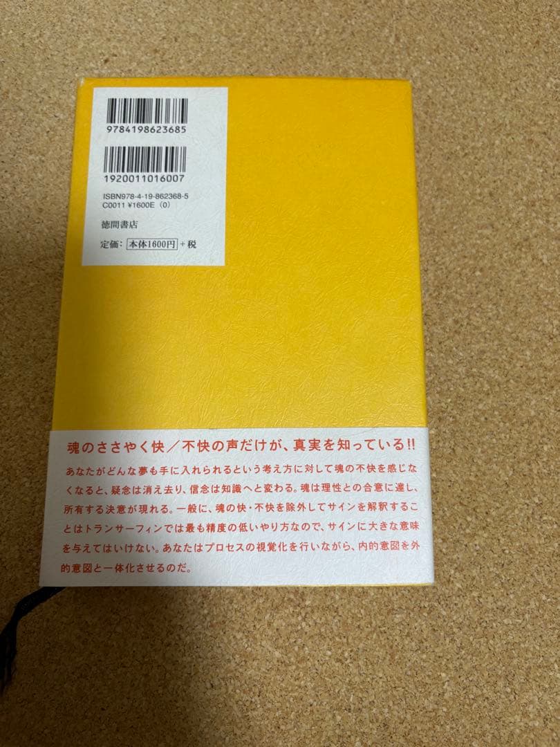 リアリティ・トランサーフィン 2
