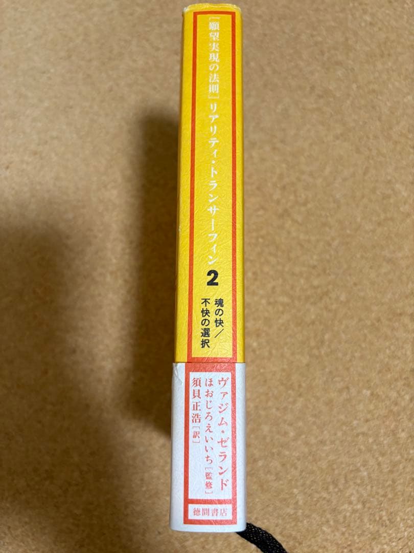 リアリティ・トランサーフィン 2