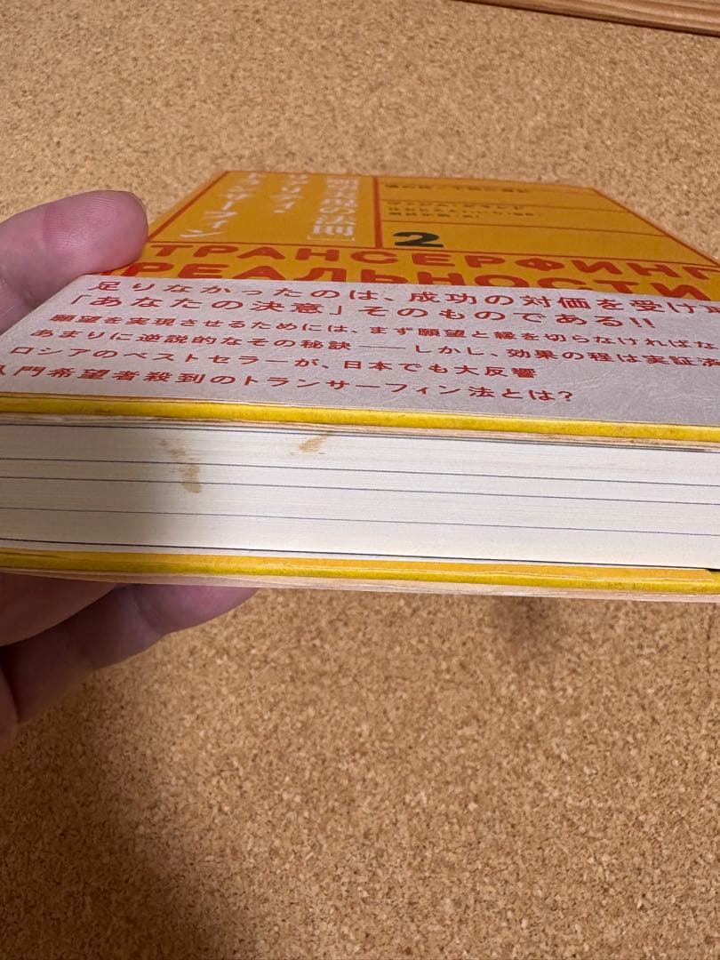 リアリティ・トランサーフィン 2