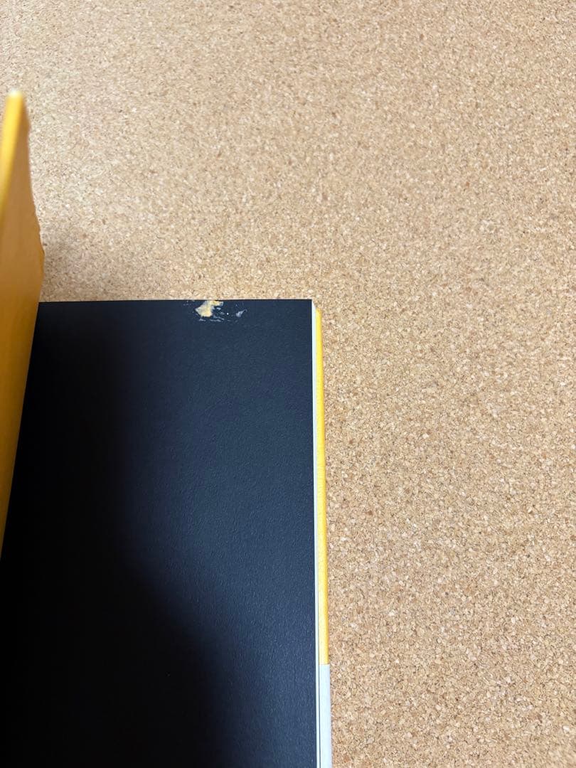 リアリティ・トランサーフィン 2