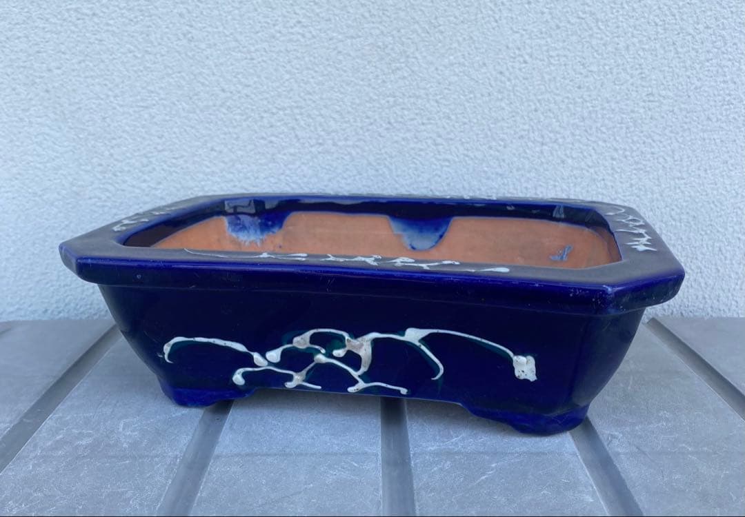 希少 瀬戸焼 瑠璃釉 骨董 盆栽鉢 盆栽 植木鉢