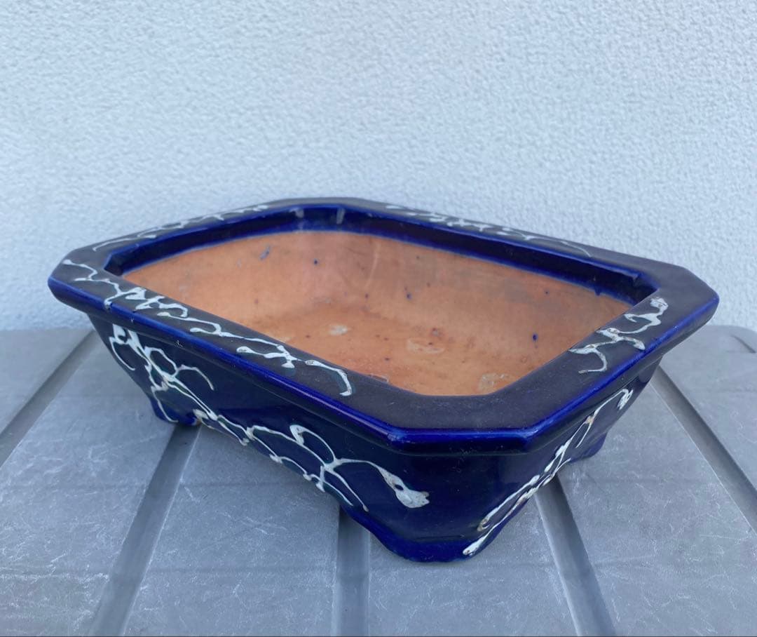 希少 瀬戸焼 瑠璃釉 骨董 盆栽鉢 盆栽 植木鉢