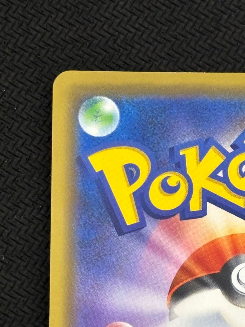 海で遊ぶピカチュウ　プロモ　真夏のピカピカ大作戦キャンペーン