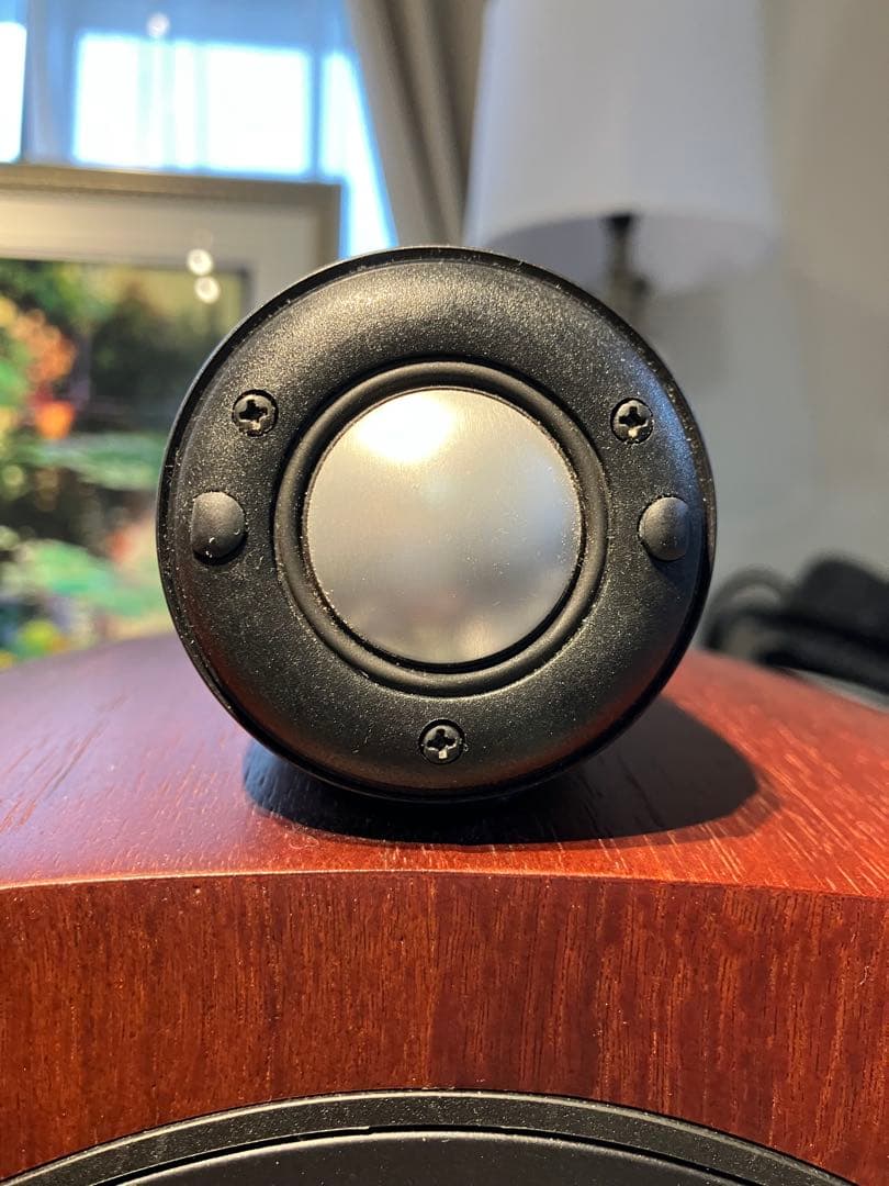 B&W 805S ROSENUT スピーカーペア美品（２台目）